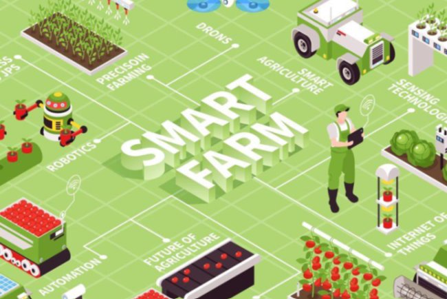 Masa Depan Bertani Telah Tiba: Menata Pertanian Presisi Berbasis Internet of Things (IoT) di Tengah Krisis Agrikultur Indonesia